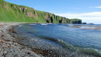 Amatignak Island Bracelet