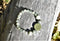 Essential Evergreen Bracelet on wood men's handmade beaded bracelets from your premier jewelry dealer
